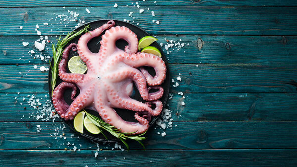 Raw octopus. On a blue wooden background. Top view. Free copy space.
