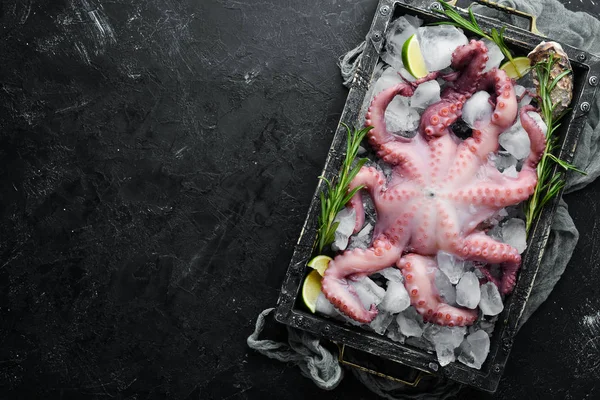 Rauwe Octopus Een Doos Met Ijs Vrije Ruimte Voor Tekst — Stockfoto