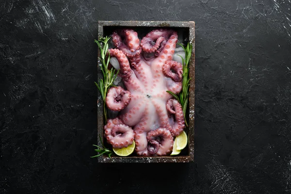 Syrová Chobotnice Krabici Ledem Volné Místo Pro Text Rovinatý Ležel — Stock fotografie