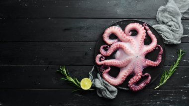 Siyah arka plandaki ahtapot. Deniz ürünleri. Metniniz için boş alan. düz yatıyordu