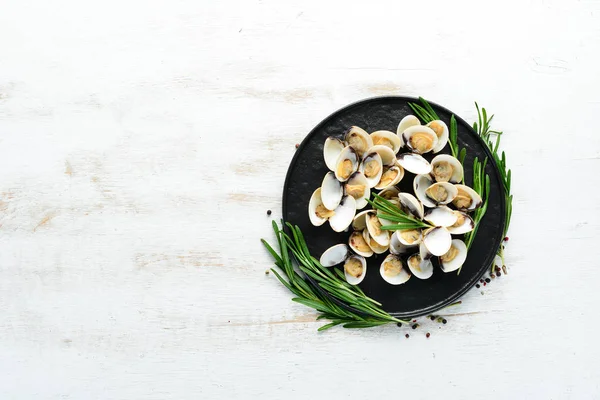 Boiled clams in a plate. Seafood on a white background.