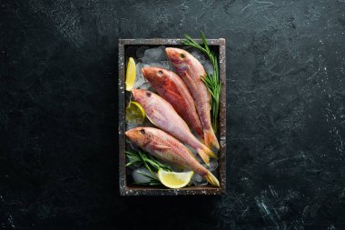 kırmızı kefal balığı. Deniz balığı. Siyah arka planda deniz ürünleri. Üst te. Ücretsiz kopyalama alanı.