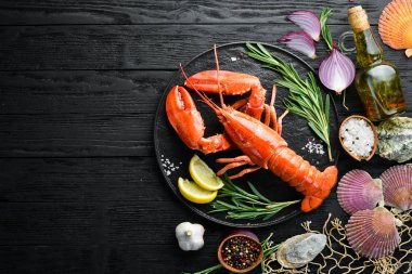 Koyu bir arka plan üzerinde baharat ile ıstakoz. Üst te. Ücretsiz kopyalama alanı.