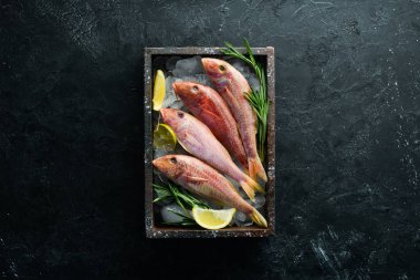 kırmızı kefal balığı. Deniz balığı. Siyah arka planda deniz ürünleri. Üst te. Ücretsiz kopyalama alanı.