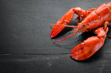 Siyah arka planda haşlanmış ıstakoz. Üst te. Ücretsiz kopyalama alanı.