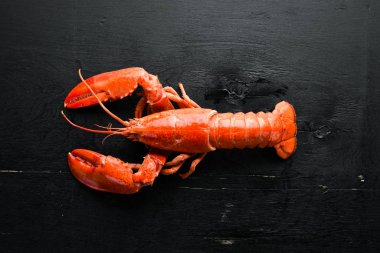 Siyah arka planda haşlanmış ıstakoz. Üst te. Ücretsiz kopyalama alanı.