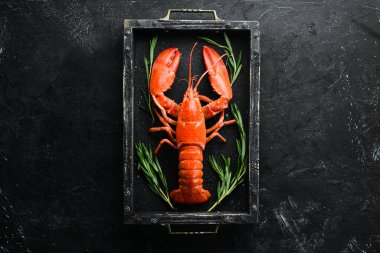 Siyah arka planda haşlanmış ıstakoz. Üst te. Ücretsiz kopyalama alanı.