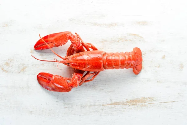 Homard Bouilli Avec Des Épices Sur Fond Blanc Vue Dessus — Photo