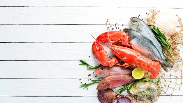 Seafood Fehér Alapon Homár Hal Kagyló Felülnézet Szabad Másol Hely — Stock Fotó