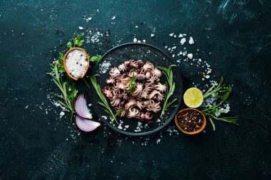 Baharat ve biberiye ile haşlanmış ahtapot. Tabakta. Üst te. Ücretsiz kopyalama alanı.