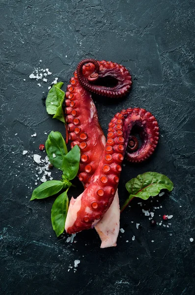 Tentáculos Pulpo Hervido Plato Piedra Mariscos Vista Superior Espacio Libre — Foto de Stock