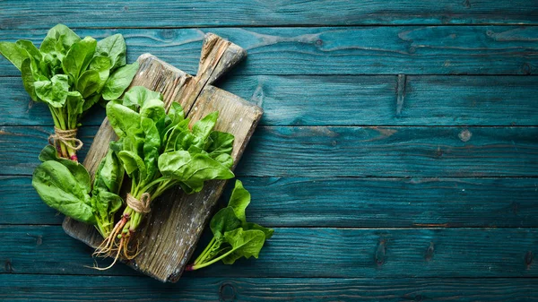Mavi ahşap arka planda taze ıspanak. Sağlıklı yiyecekler. Üst te. Metniniz için boş alan.