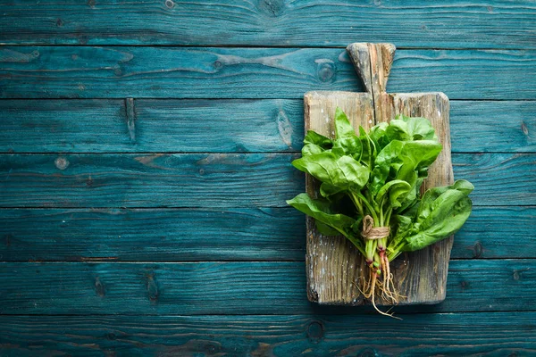 Mavi ahşap arka planda taze ıspanak. Sağlıklı yiyecekler. Üst te. Metniniz için boş alan.