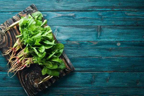 Mavi ahşap arka planda taze ıspanak. Sağlıklı yiyecekler. Üst te. Metniniz için boş alan.