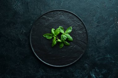 Taze yeşil fesleğen. Üst te. Metniniz için boş alan.