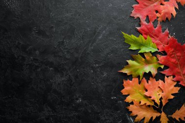 Renkli sonbahar yaprakları düzleşir. Siyah taştan bir arka planda. Üst Manzara. Metnin için boş yer.