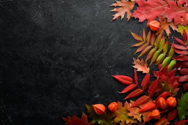 Renkli sonbahar yaprakları düzleşir. Siyah taştan bir arka planda. Üst Manzara. Metnin için boş yer.