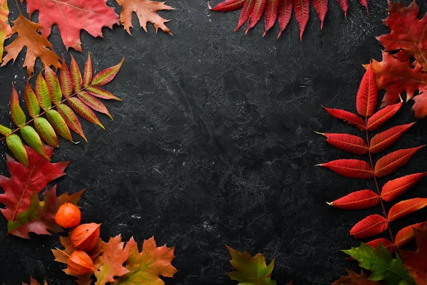 Folhas Outono Coloridas Flat Lay Fundo Pedra Preta Vista Superior — Fotografia de Stock