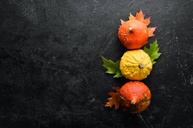 Sonbahar sebzeleri. Balkabağı çekirdekli balkabağı ve sonbahar yapraklı. Düz yat. Siyah taştan bir arka planda. Üst Manzara. Metnin için boş yer.