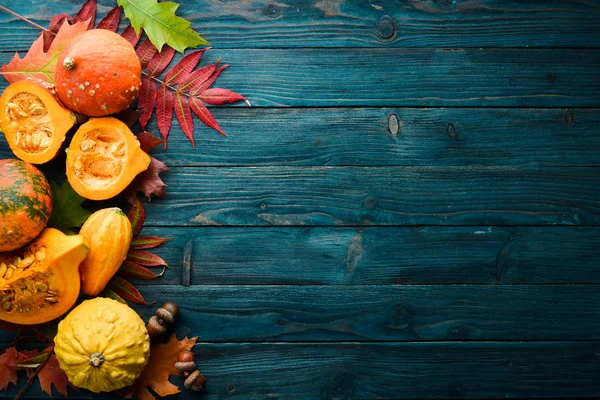 Autumn vegetables. Colored pumpkins with autumn leaves. flat lay. On a blue wooden background. Top view. Free space for your text.