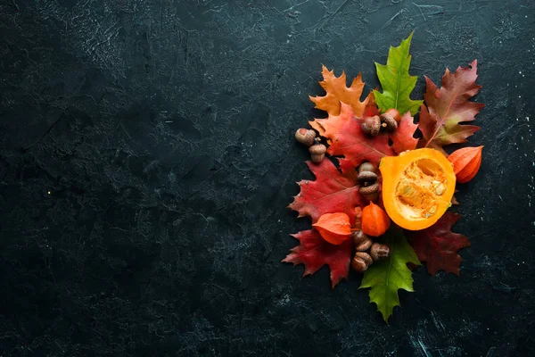 Herbst Hintergrund Mit Kaffee Kürbis Herbstblättern Und Samen Flach Lag — Stockfoto