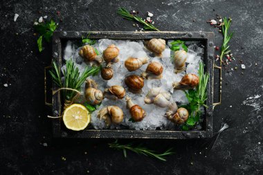 Maydanoz ve limonlu yenilebilir salyangoz. Geleneksel Fransız mutfağı. Üst görünüm.