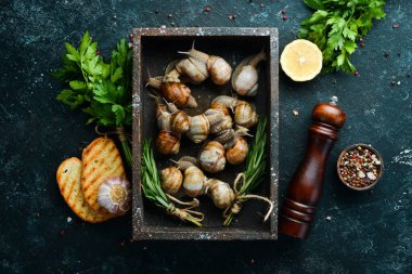 Tahta bir kutuda maydanozlu salyangoz. Üst görünüm.