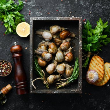 Tahta bir kutuda maydanozlu salyangoz. Üst görünüm.