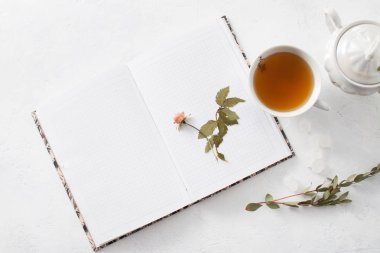 Bitkisel aromatik şifalı çay. Şifalı bitkiler kaynatma. Bir süzgeç ile çay demleme.