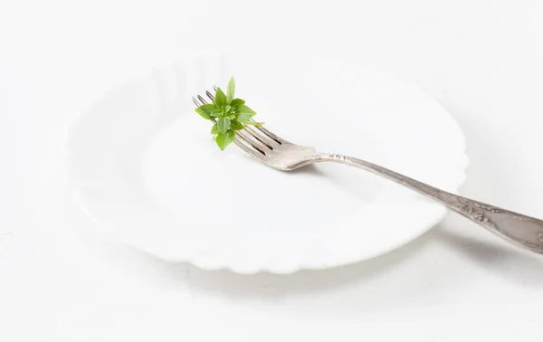 Manjericão Uma Planta Como Tempero Culinária Tratamento Para Beribéri Com — Fotografia de Stock