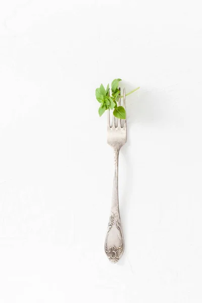 Basil Plant Seasoning Cooking Treatment Beriberi Help Medicinal Herbs — Stock Photo, Image