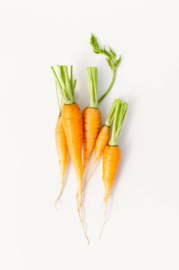 İlk havuç hasat. Genç sebze Bahçe gelen yararlı özellikler.