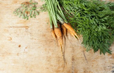 İlk havuç hasat. Genç sebze Bahçe gelen yararlı özellikler.
