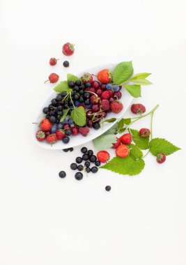 Bahçe beyaz arka plan üzerinde meyveleri. Çilek hasat. Alan metni kopyalayın