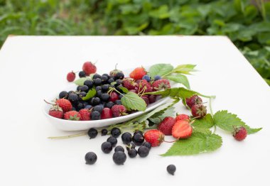 Bahçe beyaz arka plan üzerinde meyveleri. Çilek hasat. Alan metni kopyalayın