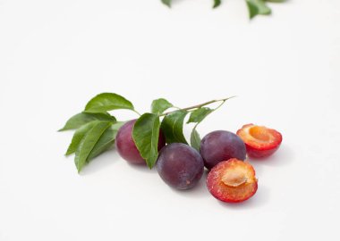 Bahçe Erik dalları Bahçe tablo ile. Metin eklemek için yer.