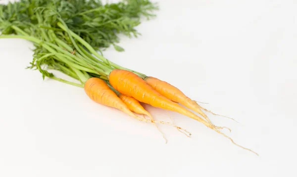 Primera Cosecha Zanahoria Propiedades Útiles Las Verduras Jóvenes Jardín — Foto de Stock