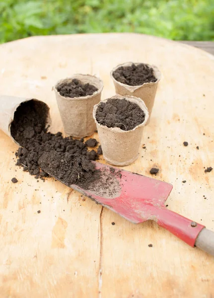 Transplantation Plantes Dans Jardin Culture Herbes Médicinales Place Pour Texte — Photo