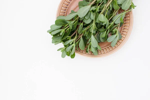 Uso Hierbas Portulacas Recetas Cocina Medicina Lugar Para Texto — Foto de Stock