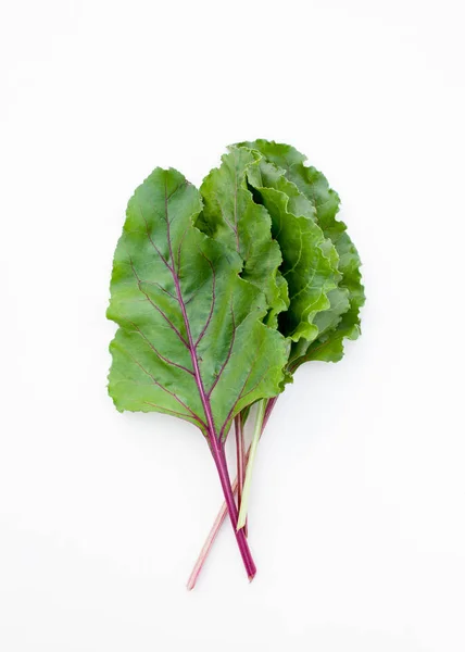 Cosecha Hojas Remolacha Joven Uso Recetas Cocina — Foto de Stock