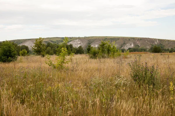 Resa Till Naturliga Platser Friluftsliv Och Rekreation Landskap Vägen Bakgrundsbild — Stockfoto