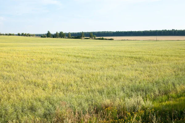 Resa Till Naturliga Platser Friluftsliv Och Rekreation Landskap Vägen Bakgrundsbild — Stockfoto