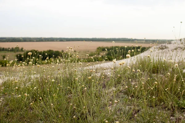 Resa Till Naturliga Platser Friluftsliv Och Rekreation Landskap Vägen Bakgrundsbild — Stockfoto