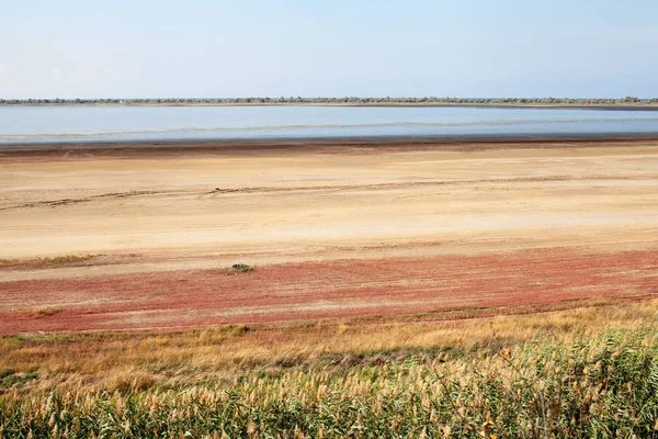 Resa Till Naturliga Platser Friluftsliv Och Rekreation Landskap Vägen Bakgrundsbild — Stockfoto