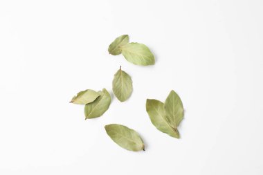 Bay leaf is a natural antiseptic that has anti-inflammatory properties and produces analgesic effect. Used in the treatment of influenza and colds, diabetes, pustular skin diseases, promotes weight loss. clipart