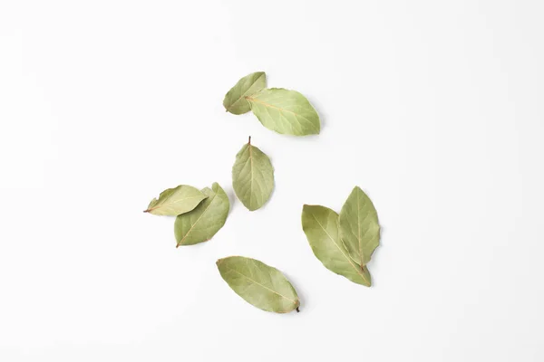 Hoja Laurel Antiséptico Natural Que Tiene Propiedades Antiinflamatorias Produce Efecto — Foto de Stock