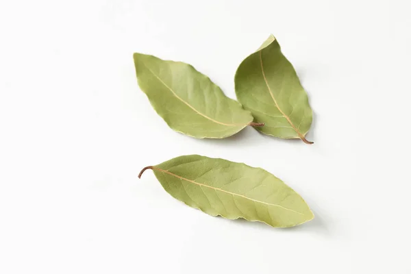 Hoja Laurel Antiséptico Natural Que Tiene Propiedades Antiinflamatorias Produce Efecto — Foto de Stock