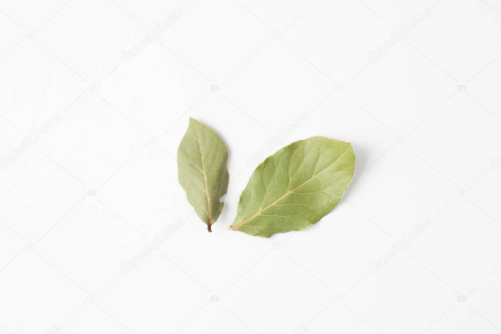 Bay leaf is a natural antiseptic that has anti-inflammatory properties and produces analgesic effect. Used in the treatment of influenza and colds, diabetes, pustular skin diseases, promotes weight loss.