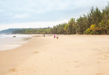 Çift tropikal yeşilliklerle çevrili ıssız sahilde yürümek