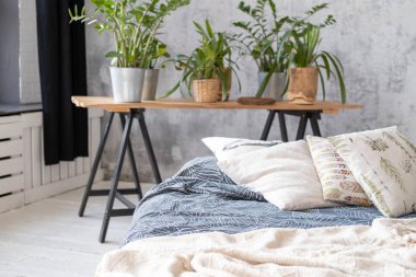 Yatak yastık ile iç houseplants ile yapılan değil